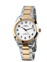Reloj Capital Hombre Daily in Acero AX243*NZ01 - AX243*NZ01